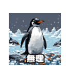 いろんな表情のペンギンスタンプ（個別スタンプ：8）