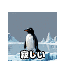 いろんな表情のペンギンスタンプ（個別スタンプ：24）