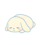 よるうさ（個別スタンプ：4）