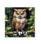 40表情ランダムフクロウスタンプ（個別スタンプ：1）