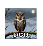 40表情ランダムフクロウスタンプ（個別スタンプ：19）