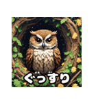 40表情ランダムフクロウスタンプ（個別スタンプ：21）