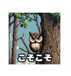 40表情ランダムフクロウスタンプ（個別スタンプ：24）