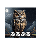 40表情ランダムフクロウスタンプ（個別スタンプ：25）