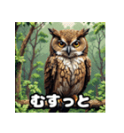40表情ランダムフクロウスタンプ（個別スタンプ：26）