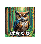 40表情ランダムフクロウスタンプ（個別スタンプ：29）