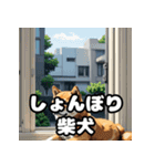 ニヒルな柴犬のランダム表情スタンプ（個別スタンプ：3）