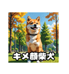 ニヒルな柴犬のランダム表情スタンプ（個別スタンプ：4）