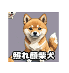 ニヒルな柴犬のランダム表情スタンプ（個別スタンプ：5）
