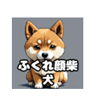 ニヒルな柴犬のランダム表情スタンプ（個別スタンプ：9）