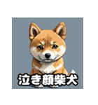 ニヒルな柴犬のランダム表情スタンプ（個別スタンプ：11）