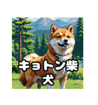 ニヒルな柴犬のランダム表情スタンプ（個別スタンプ：14）