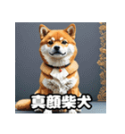 ニヒルな柴犬のランダム表情スタンプ（個別スタンプ：18）