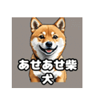 ニヒルな柴犬のランダム表情スタンプ（個別スタンプ：19）