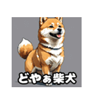 ニヒルな柴犬のランダム表情スタンプ（個別スタンプ：21）
