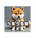 ニヒルな柴犬のランダム表情スタンプ（個別スタンプ：23）