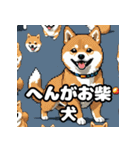 ニヒルな柴犬のランダム表情スタンプ（個別スタンプ：24）