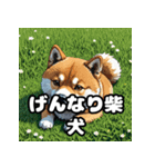 ニヒルな柴犬のランダム表情スタンプ（個別スタンプ：25）