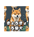 ニヒルな柴犬のランダム表情スタンプ（個別スタンプ：26）