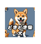 ニヒルな柴犬のランダム表情スタンプ（個別スタンプ：31）