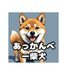 ニヒルな柴犬のランダム表情スタンプ（個別スタンプ：34）