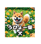 ニヒルな柴犬のランダム表情スタンプ（個別スタンプ：36）