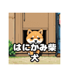 ニヒルな柴犬のランダム表情スタンプ（個別スタンプ：37）