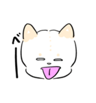 大きい3しばちゃん2（個別スタンプ：1）