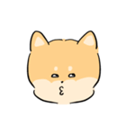 大きい3しばちゃん2（個別スタンプ：3）