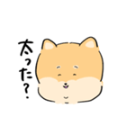 大きい3しばちゃん2（個別スタンプ：12）