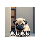 表情いろいろ！かわいいパグスタンプ（個別スタンプ：4）