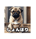 表情いろいろ！かわいいパグスタンプ（個別スタンプ：9）