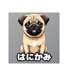 表情いろいろ！かわいいパグスタンプ（個別スタンプ：19）