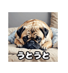 表情いろいろ！かわいいパグスタンプ（個別スタンプ：22）