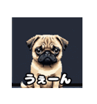 表情いろいろ！かわいいパグスタンプ（個別スタンプ：26）