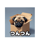 表情いろいろ！かわいいパグスタンプ（個別スタンプ：27）