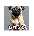 表情いろいろ！かわいいパグスタンプ（個別スタンプ：30）