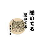 しっかり者の毛筆猫（個別スタンプ：12）
