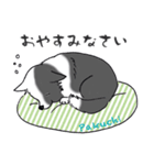 ゆるふわボーダーコリー パクチー（個別スタンプ：2）