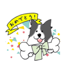 ゆるふわボーダーコリー パクチー（個別スタンプ：7）