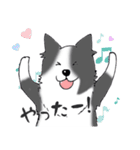 ゆるふわボーダーコリー パクチー（個別スタンプ：23）