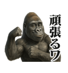 明るくオネエゴリラ（個別スタンプ：18）