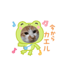 Kyodaineko2（個別スタンプ：3）