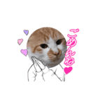 Kyodaineko2（個別スタンプ：5）