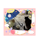 港町の地域猫ず（個別スタンプ：1）