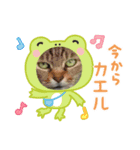 港町の地域猫ず（個別スタンプ：3）