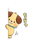 【のこのこ うちのコ】マフィン（個別スタンプ：18）