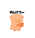 脱力豚（個別スタンプ：7）