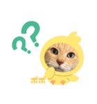 三兄弟と愉快な保護猫達シリーズ④（個別スタンプ：1）