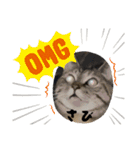 三兄弟と愉快な保護猫達シリーズ④（個別スタンプ：6）